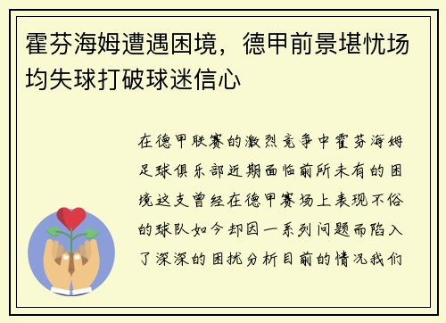 霍芬海姆遭遇困境，德甲前景堪忧场均失球打破球迷信心