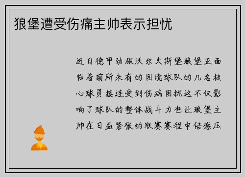 狼堡遭受伤痛主帅表示担忧