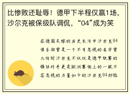 比惨败还耻辱！德甲下半程仅赢1场，沙尔克被保级队调侃，“04”成为笑柄
