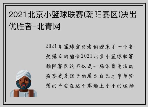 2021北京小篮球联赛(朝阳赛区)决出优胜者-北青网