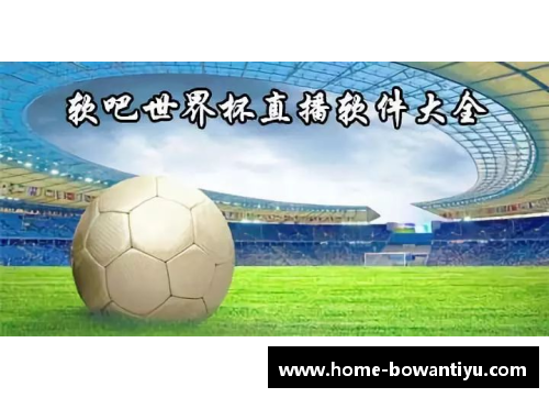 bowan博万体育官方网站2018世界杯：破茧成蝶的足球盛宴 - 副本
