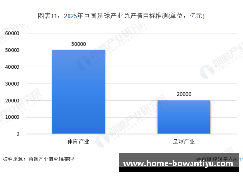 bowan博万体育官方网站足球球员市场价值分析与趋势预测